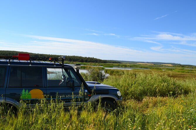 Off Road Safari Experience in Sithonia Halkidiki - The Experience: What You’re Really Getting