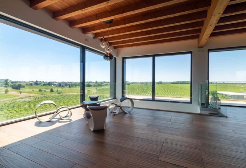 Off-road tour through vineyards and organic wine tasting at Villa Bogdano 1880 - Off-road Tour Through Vineyards and Organic Wine Tasting at Villa Bogdano 1880