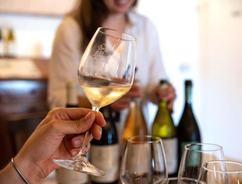 Off-road tour through vineyards and organic wine tasting at Villa Bogdano 1880 - Practical Details and Considerations