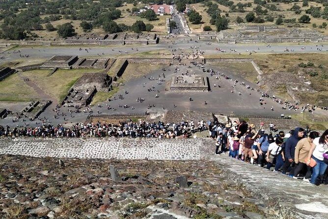 OFFER / Private COMBO 2 days Frida Kahlo Museum / Xochimilco -Teotihuacan / Basilica. - The Bottom Line