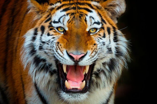 Offer Summer Terra Natura entrance ticket - The Entrance and Overall Layout