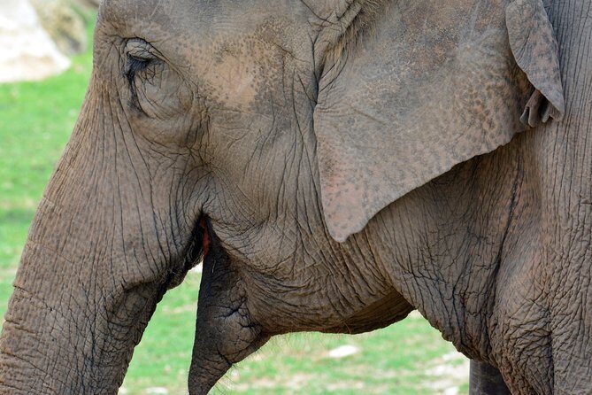 Offer Summer Terra Natura entrance ticket - The Animal Encounters and Highlights