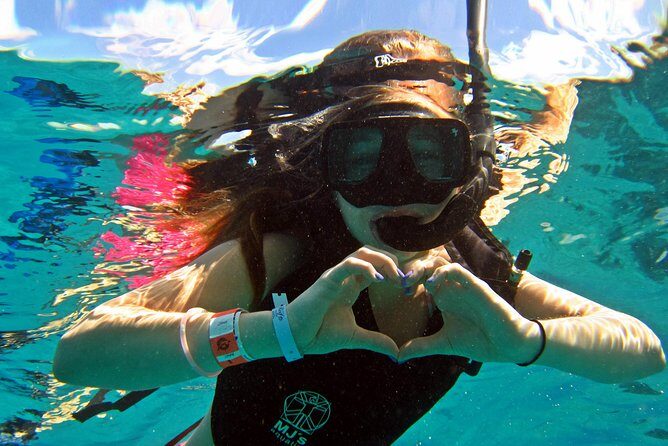 Official Chankanaab Beach Park Day pass with Snorkeling - What to Expect at Chankanaab Beach Park