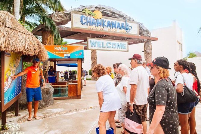Official Chankanaab Beach Park Day pass with Snorkeling - Who Is It For?