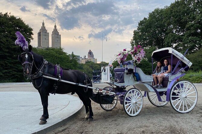 OFFICIAL NYC Central Park Horse Carriage Rides - Key Points