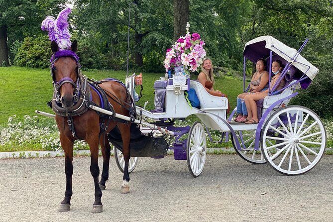 OFFICIAL NYC Central Park Horse Carriage Rides - Who Is This Tour Best For?