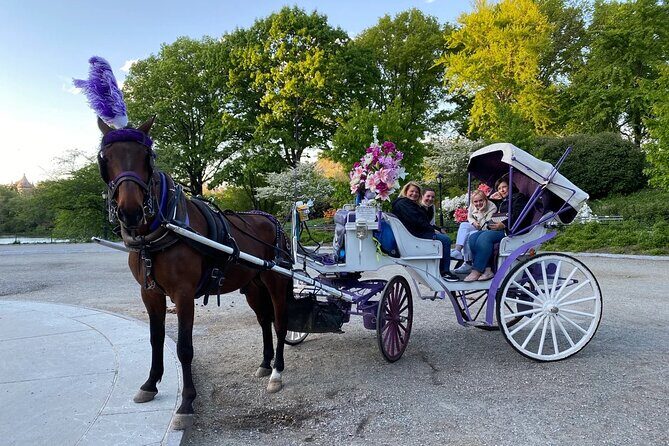 OFFICIAL NYC Central Park Horse Carriage Rides - FAQs