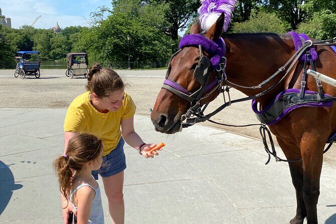 OFFICIAL NYC Central Park Horse Carriage Rides - Wrapping It Up