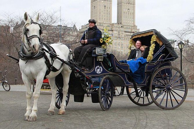 Official NYC Horse Carriage Rides in Central Park since 1979 - What You Can Expect from the Experience
