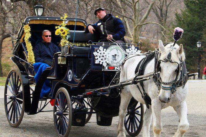 Official NYC Horse Carriage Rides in Central Park since 1979 - Final Thoughts