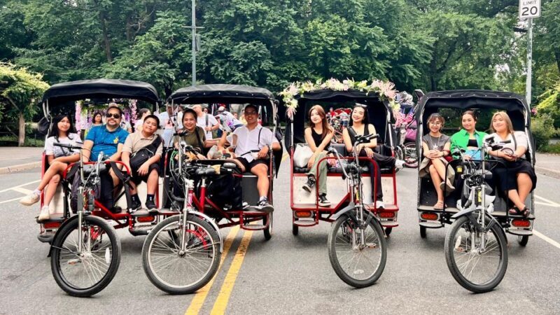 Official Pedicab Movies & TV Shows Tours in Central Park - What Are the Drawbacks or Considerations?