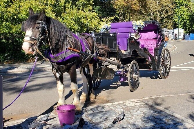 Official Private New York City Central Park Horse Carriage Ride Since 1965 - Key Points