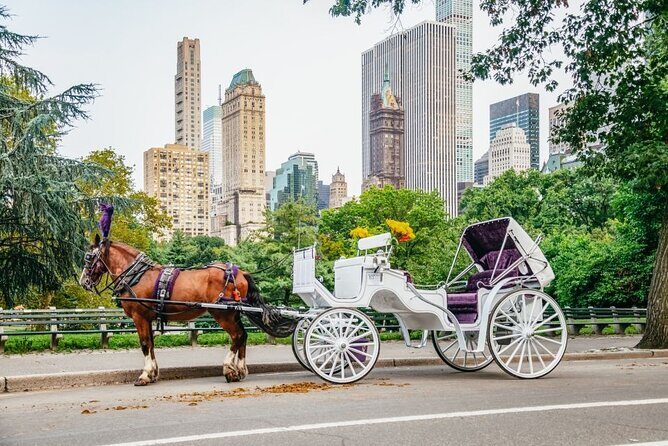 Official Private New York City Central Park Horse Carriage Ride Since 1965 - A Closer Look at What This Tour Offers