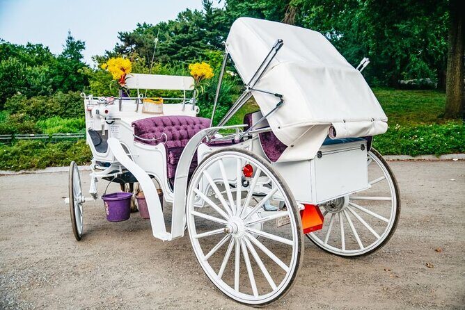 Official Private New York City Central Park Horse Carriage Ride Since 1965 - FAQ