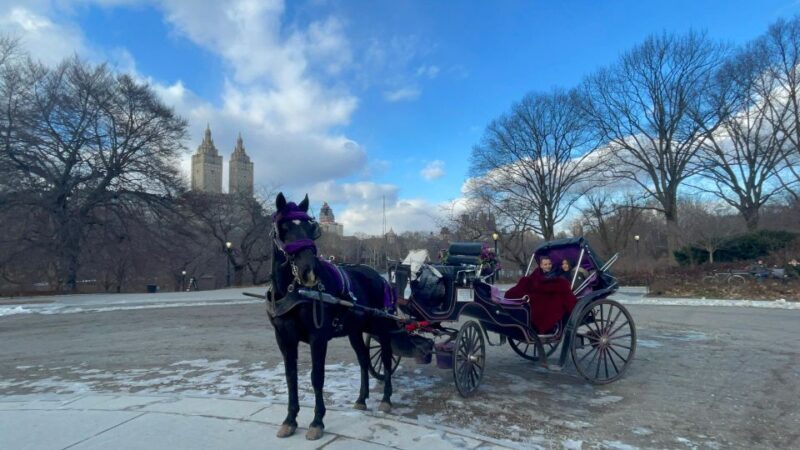 Official VIP Whole Central Park Horse Carriage Tour - The Details That Matter