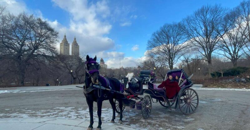 Official VIP Whole Central Park Horse Carriage Tour - Final Thoughts