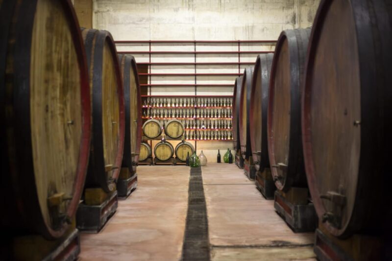 Offida: Tasting itinerary of Rosso Piceno DOC Superiore - The Value for Money