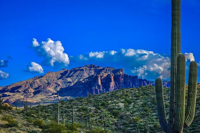 Offroad Sonoran Desert Adventure and Sunset - What’s Included and What to Expect