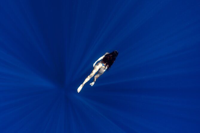 Offshore Safari Adventure in Kona with Underwater Videos - Final Thoughts