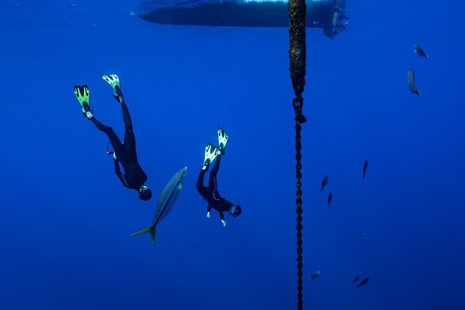 Offshore Safari Adventure in Kona with Underwater Videos - FAQ