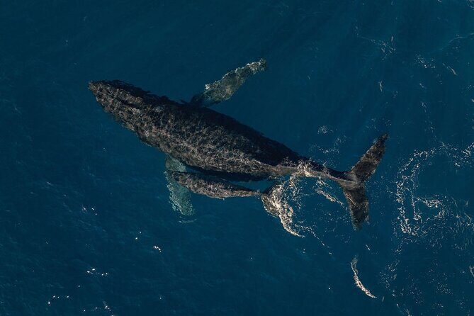 Ohana Doors-On Tour - The Verdict: Who Should Consider This Tour?