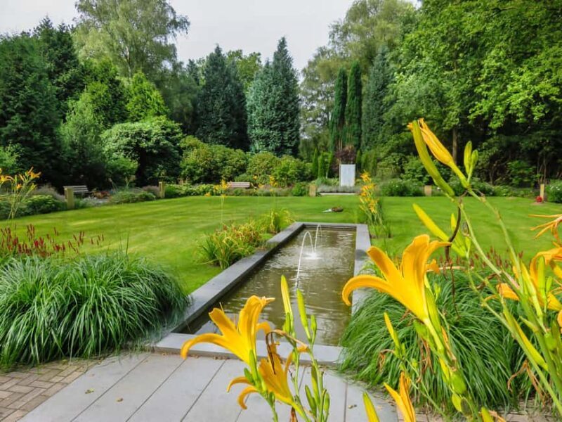 Ohlsdorf Cemetery: 1.5-hour individual guided tour - Key Points
