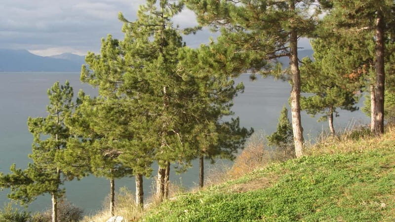 Ohrid: Old Town Bike Rental - Key Points