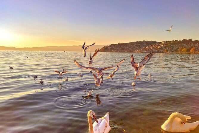 Ohrid one day trip from Pristina - 9 Practical Questions and Answers