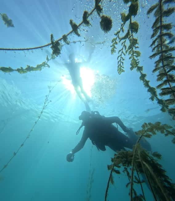 Ohrid: Scuba Diving Experience in Lake Ohrid - FAQs