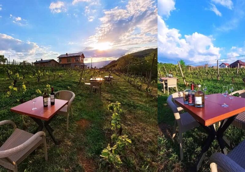 Ohrid: S&S Winery Tour and Wine Tasting Experience - Who Should Consider This Tour?