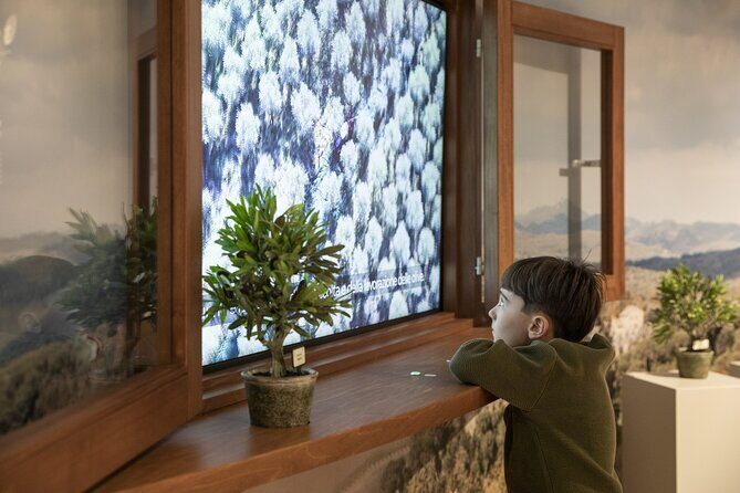 Oil museum and oil mill in Tuscany: tour and tasting - Final Thoughts