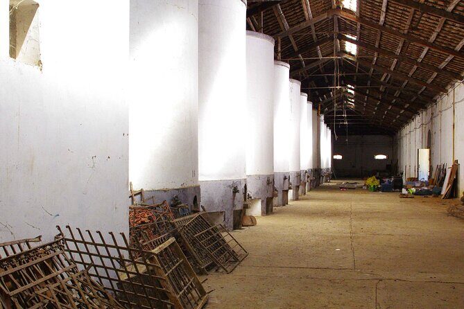 Oil Tour in Historic Baglio Florio Adamo with Lunch - Key Points