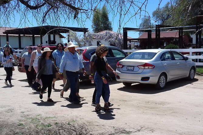 Ojos Negros Valley Wine and Cheese Route Tour in Baja California - Authenticity & Authentic Experiences Highlighted by Travelers