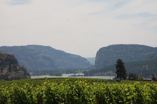 Okanagan Falls Private Wine Tour - Full Day - Final Words: Is It Worth It?