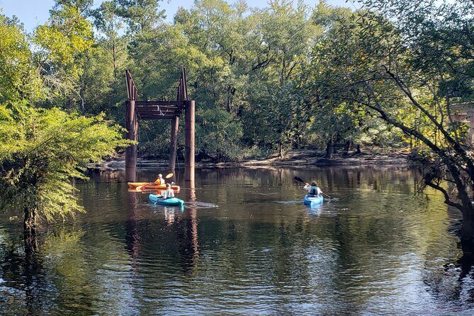 Okefenokee Swamp: Guided Kayak Tour with a Local Naturalist - Who Should Consider This Tour?