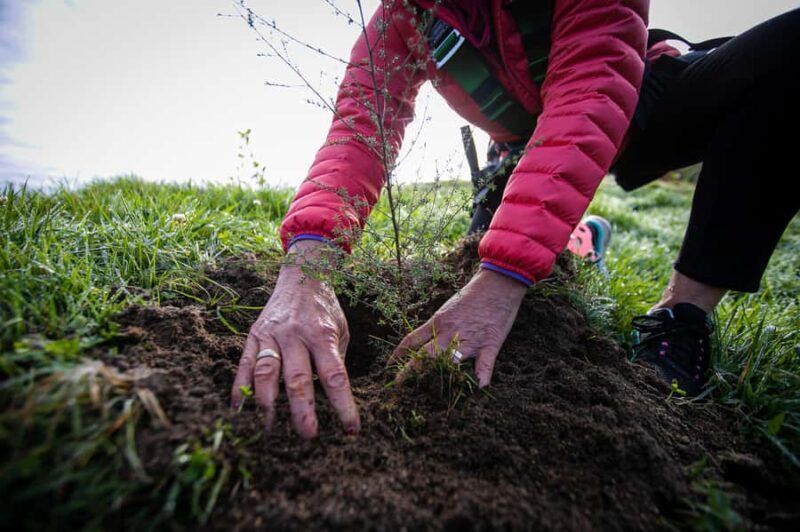 Okere Falls: Zipline over Waterfalls Experience - Key Points