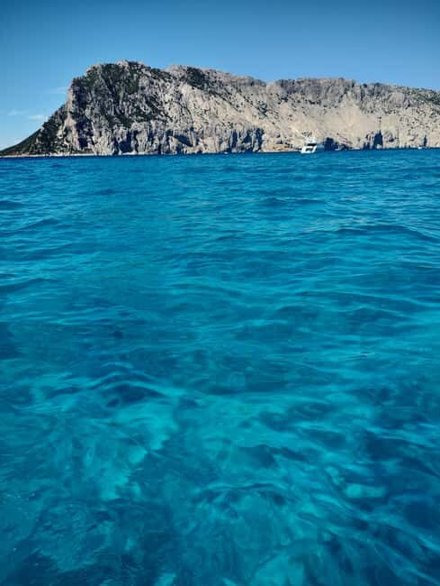 Olbia: Dinghy tour to the islands of Tavolara and Molara, swimming and snorkeling - FAQ
