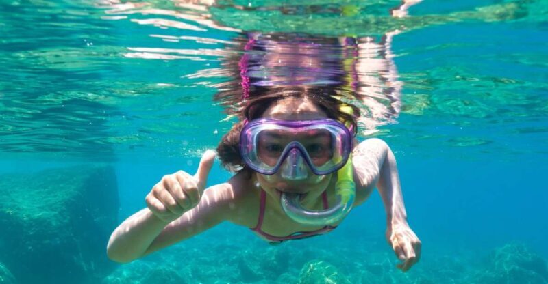 Olbia: Dolphin Watching and Snorkeling Boat Tour - Who Would Love This Tour?