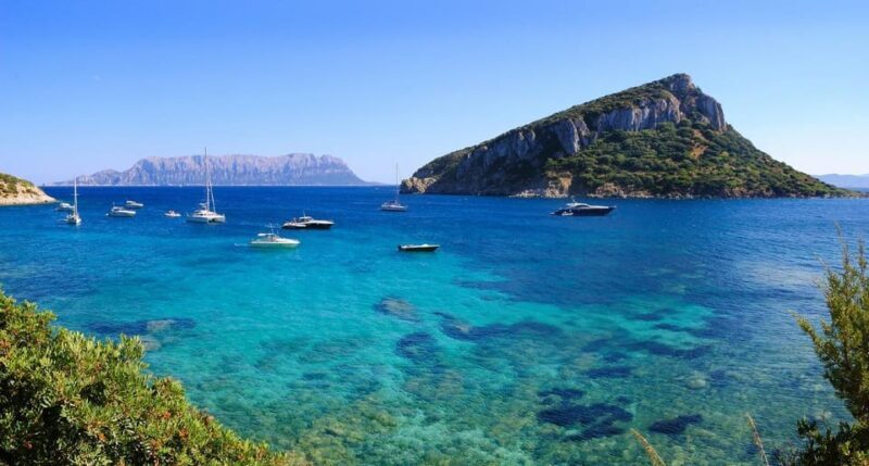 Olbia: Dolphin Watching and Snorkeling Boat Tour - Key Points