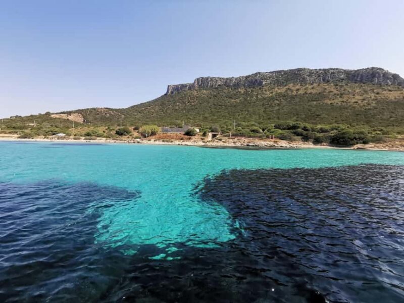 Olbia: Dolphin watching and snorkeling tour on Figarolo Island - The Experience & Atmosphere
