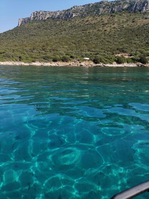 Olbia: Dolphin watching and snorkeling tour on Figarolo Island - Final Thoughts