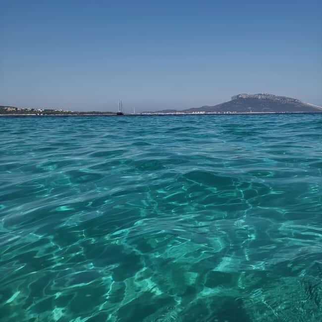 Olbia: Dolphin watching and snorkeling tour on Figarolo Island - FAQ