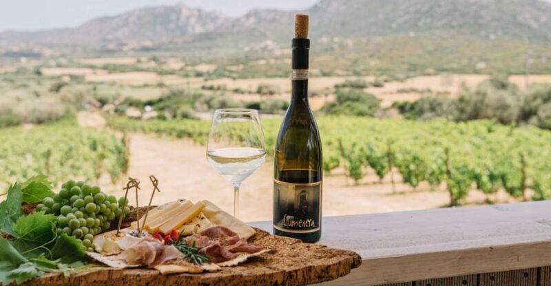 Olbia: Gallura Winery Guided Tour with Tasting - Key Points