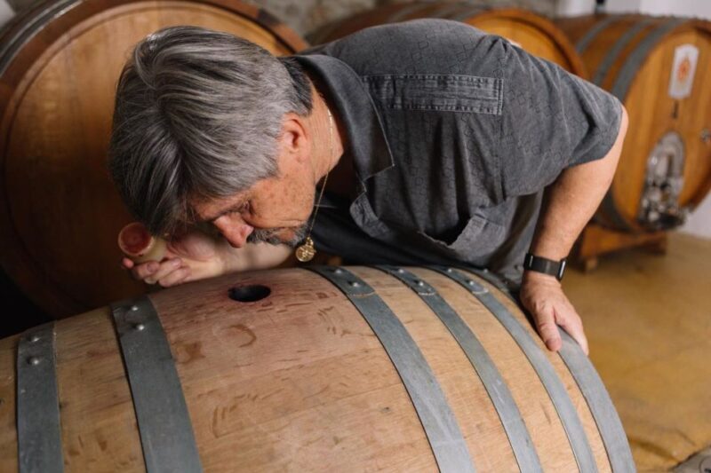 Olbia: Gallura Winery Guided Tour with Tasting - FAQ