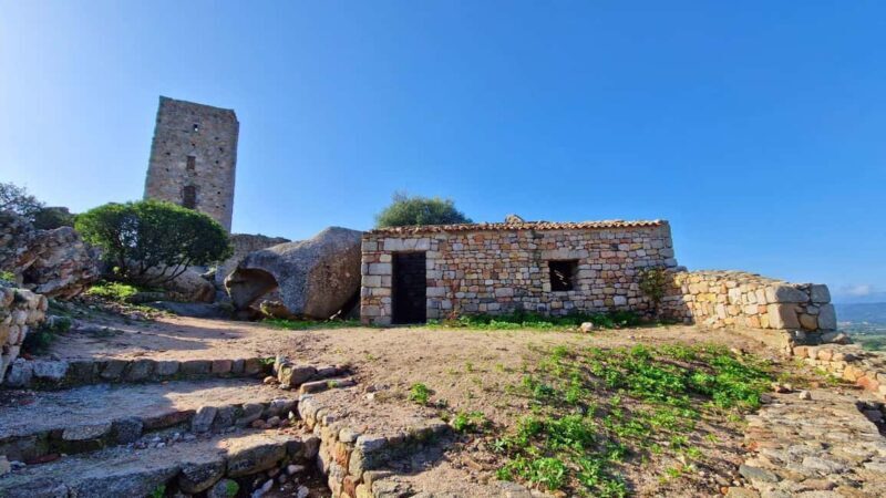 Olbia: Guided Tour with Archaeological Sites and Aperitif - The Practical Side