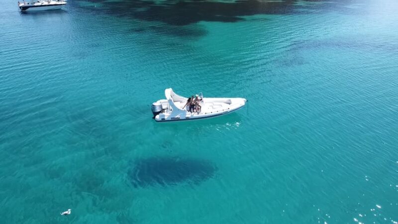 Olbia: Sunset and dolphin watching - Who Will Love This Tour?