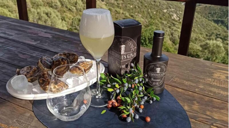 Olbia: visit a gin-making factory with tasting - Key Points