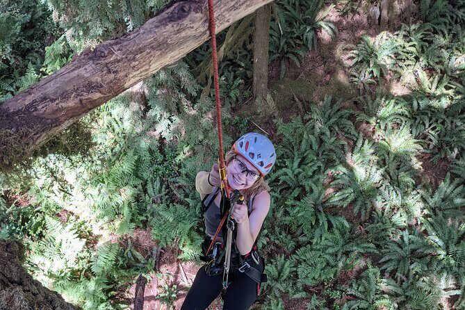 Old-Growth Tree Climbing at Silver Falls State Park - The Experience in Detail