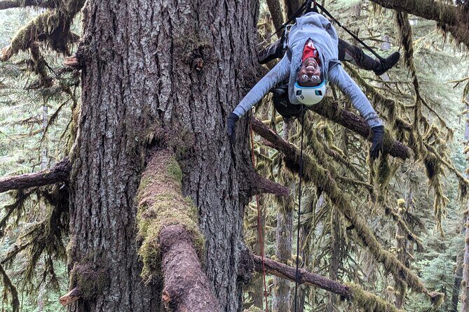 Old-Growth Tree Climbing at Silver Falls State Park - FAQ