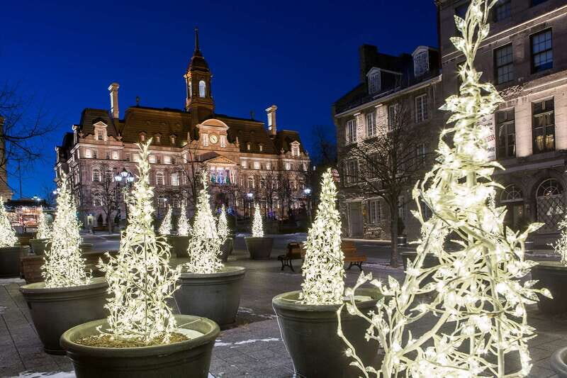 Old Montréal Small-Group Christmas Tour - Practical Tips for Your Tour